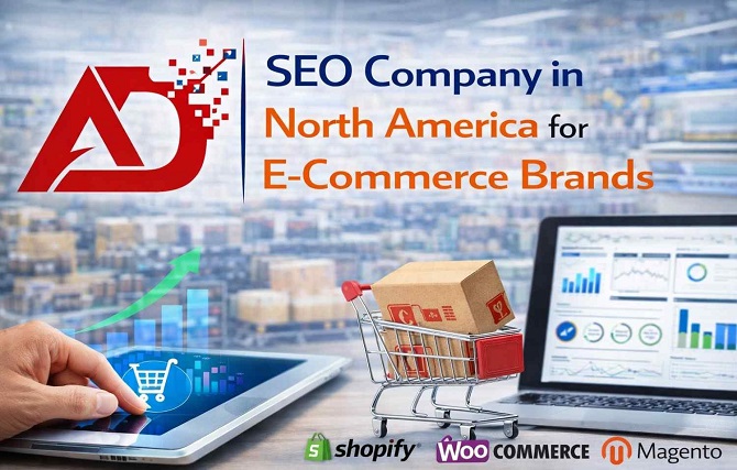 SEO Company in North America